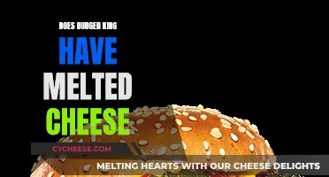 Mouth-Watering Burger King: Melty, Cheesy Goodness