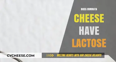 Does Burrata Cheese Have Lactose? Unraveling the Dairy Dilemma