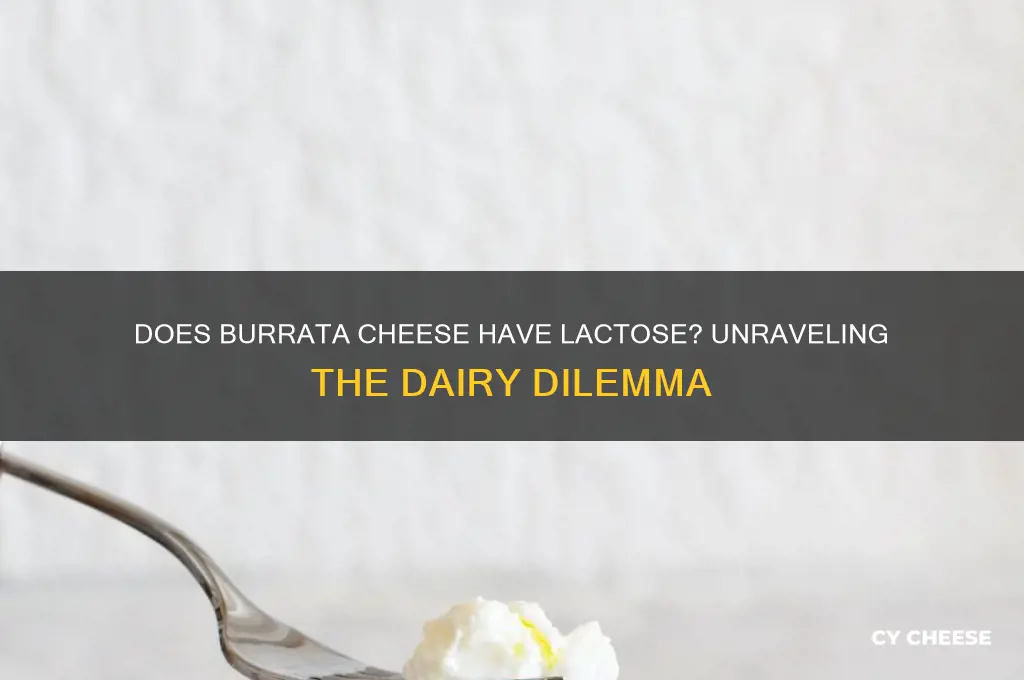 does burrata cheese have lactose