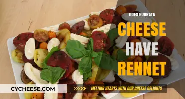 Burrata Cheese and Rennet: Uncovering the Truth Behind Its Production