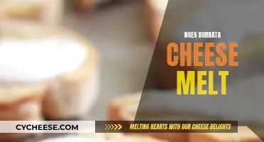 Burrata Cheese Melting: The Ultimate Guide