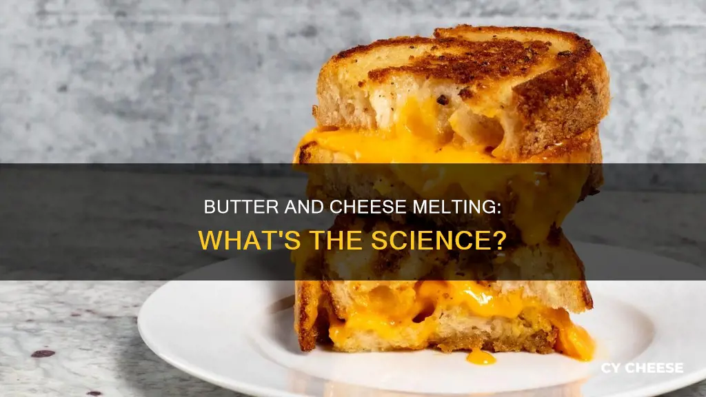 does butter cheese melt