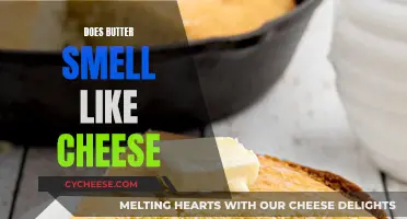 Butter vs Cheese: What's the Smell Difference?