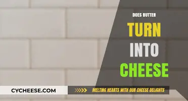 Butter to Cheese: Understanding the Dairy Transformation Process