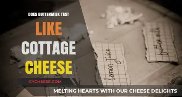 Does Buttermilk Taste Like Cottage Cheese? A Flavor Comparison