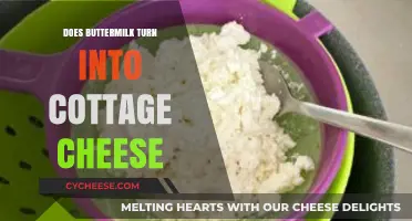 Can Buttermilk Transform into Cottage Cheese? A Dairy Exploration
