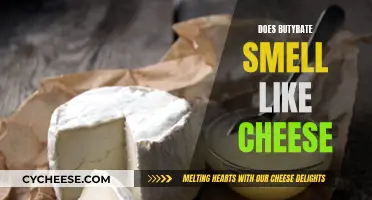 Butyrate's Cheesy Odor: What's Behind the Smelly Acid?