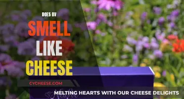 BV and Cheese: What's the Smelly Connection?