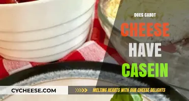 Does Cabot Cheese Contain Casein? A Detailed Look at Ingredients