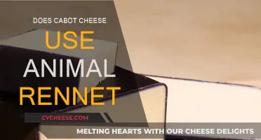 Cabot Cheese Animal Rennet: What's the Truth?