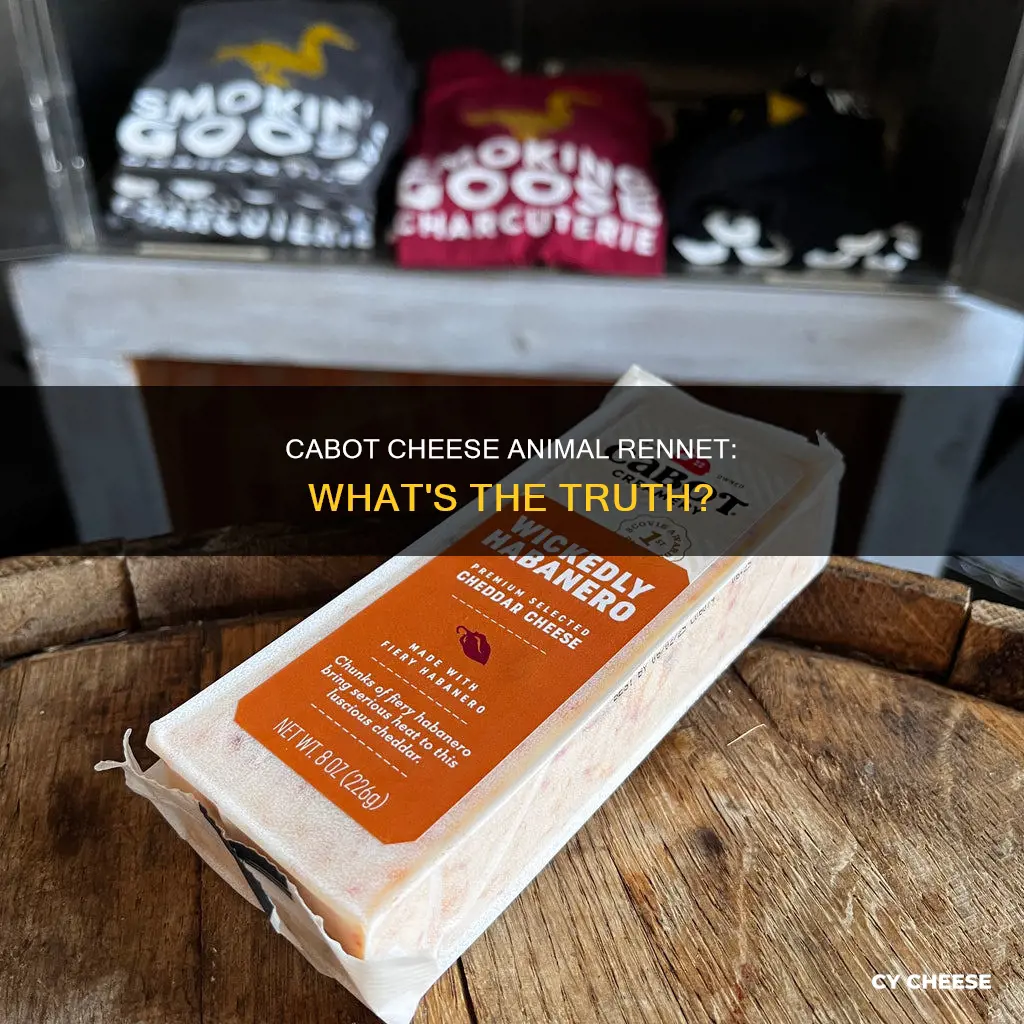 does cabot cheese use animal rennet