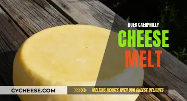 The Melting Point: Caerphilly Cheese's Secret Superpower