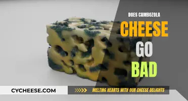 How Long Does Cambozola Cheese Last?