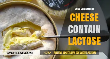 Does Camembert Cheese Contain Lactose? A Comprehensive Guide