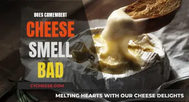 Camembert: Why Does It Smell So Bad?
