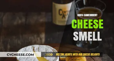 Does Camembert Cheese Smell? Uncovering the Truth Behind Its Aroma