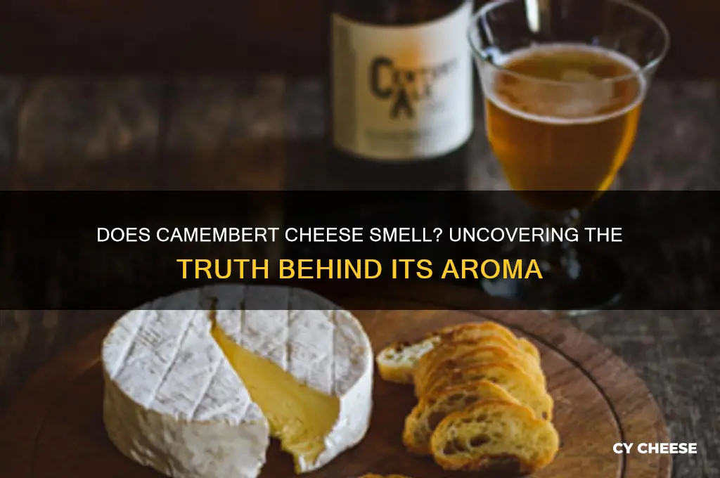does camembert cheese smell