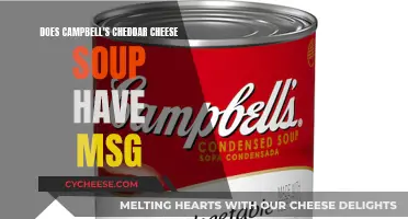 Unveiling the Secret: Does Campbell's Soup Contain MSG?