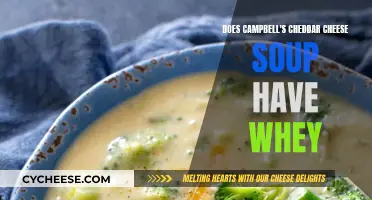 Campbell's Cheddar Cheese Soup: Whey Protein Source?