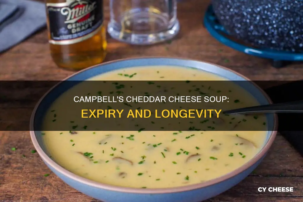 does campbells cheddar cheese soupexpire