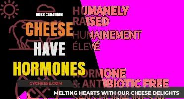 Canadian Cheese and Hormones: Unraveling the Truth Behind the Dairy
