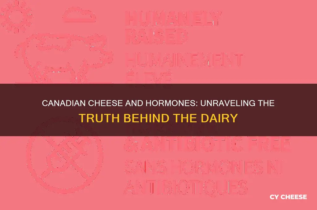 does canadian cheese have hormones