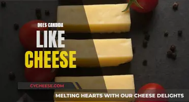 Cheese and Candida: What's the Connection?