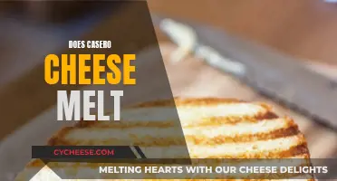 Casero Cheese: Melting Magic or Mystery?