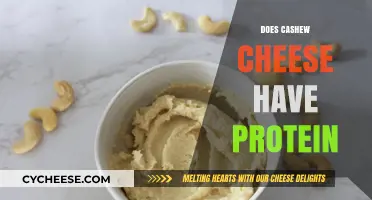 Does Cashew Cheese Have Protein? Nutritional Breakdown and Benefits