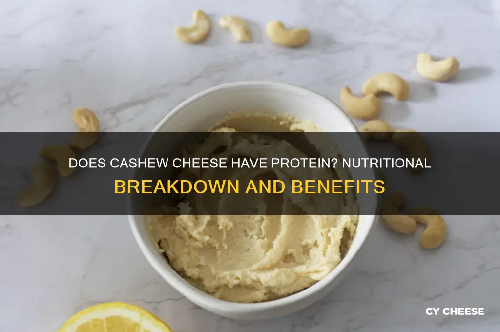 does cashew cheese have protein