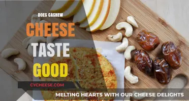 Does Cashew Cheese Taste Good? A Vegan Cheese Lover's Honest Review