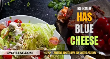 Caesar's Blue Cheese Mystery: Unveiling the Ancient Flavor