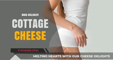 Does Cellulite Resemble Cottage Cheese? Unraveling the Skin Texture Myth