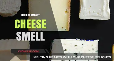 Does Chambray Cheese Smell? Uncovering the Truth About Its Aroma
