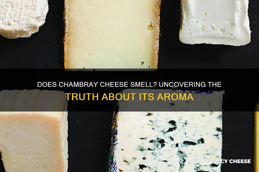 does chambray cheese smell