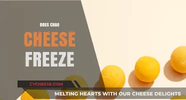 Can Chao Cheese Be Frozen? Tips for Preserving Your Vegan Cheese