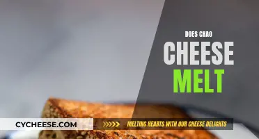 Chao Cheese Melting Mystery: Does it Melt?
