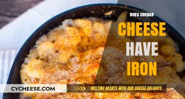 Does Cheddar Cheese Contain Iron? Uncovering Nutritional Facts