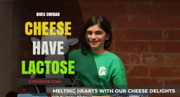 Does Cheddar Cheese Contain Lactose? A Comprehensive Guide