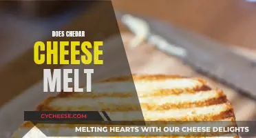 Cheddar Cheese Melting: The Science Behind It