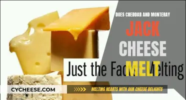 Melt Mastery: Cheddar vs. Monterey Jack, Which Reigns Supreme?