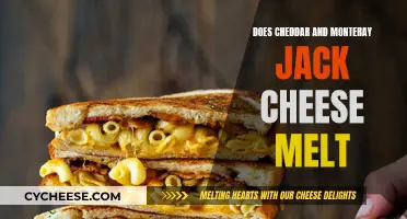 Cheddar and Monterey Jack: Melting Magic?