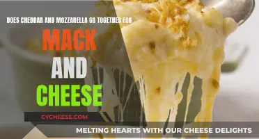 Cheddar and Mozzarella: A Match Made for Mac and Cheese?