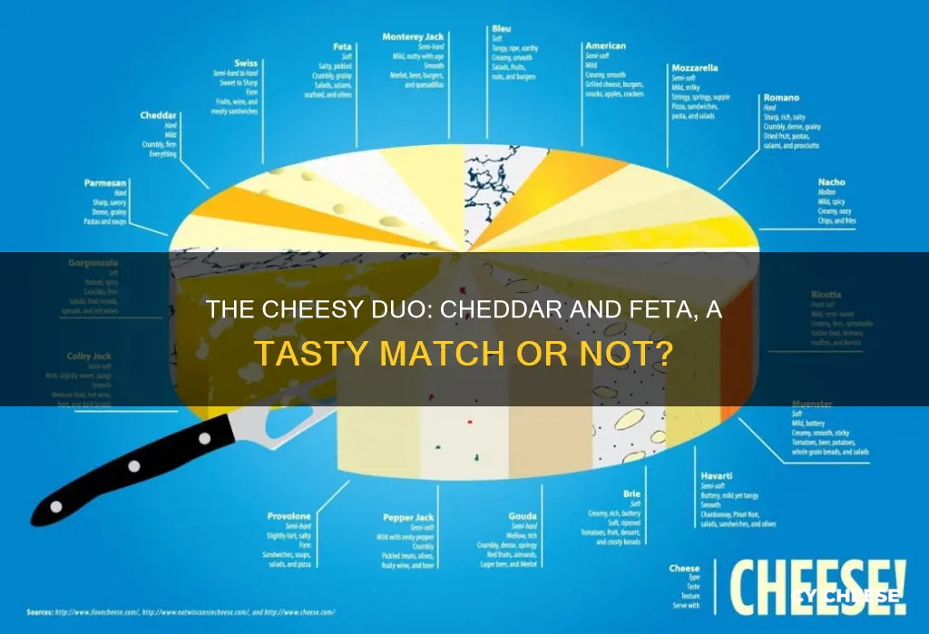 does cheddar cheese and feta cheese