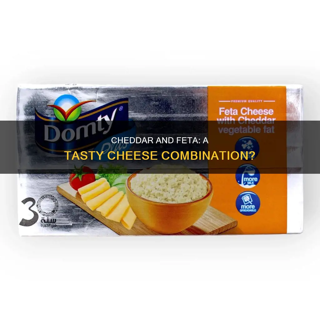 does cheddar cheese and feta cheese