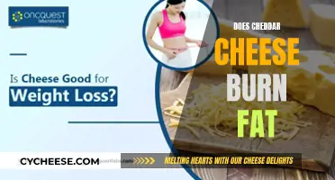 Cheese and Weight Loss: Cheddar's Impact on Fat Burn