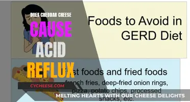 Cheese Conundrum: Cheddar and Acid Reflux - Unraveling the Mystery