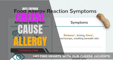 Unraveling the Cheddar Mystery: Allergy or Intolerance?