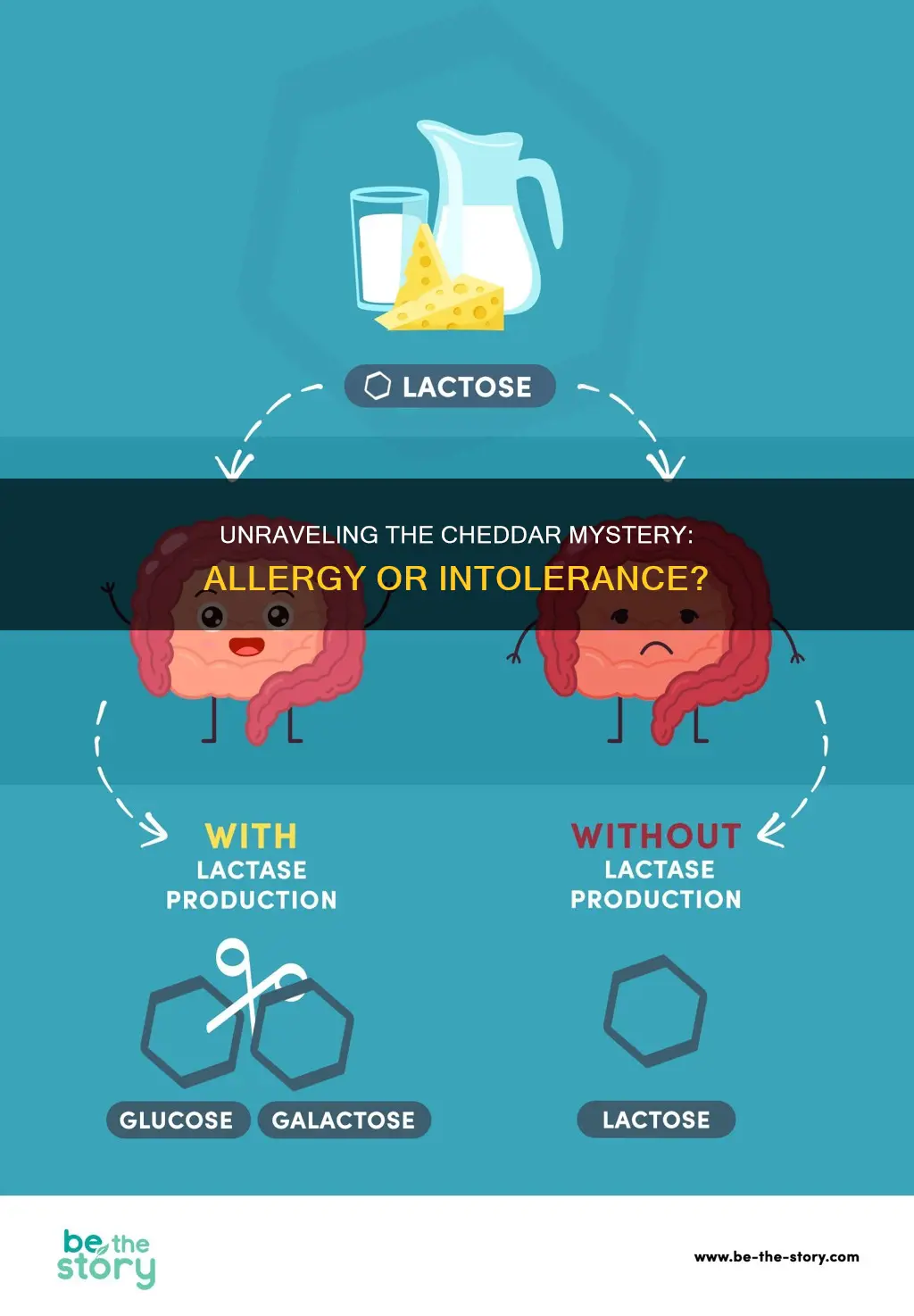 does cheddar cheese cause allergy