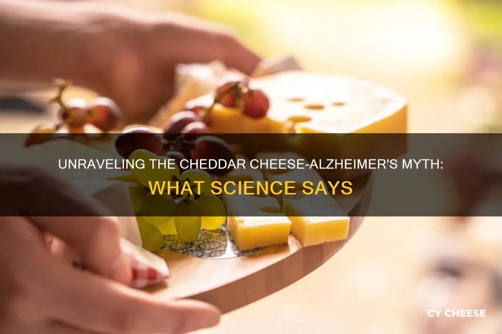 does cheddar cheese cause alzheimers